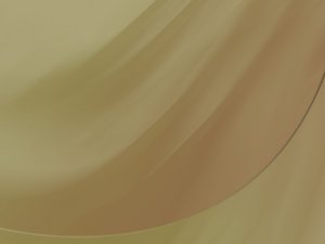持续集成